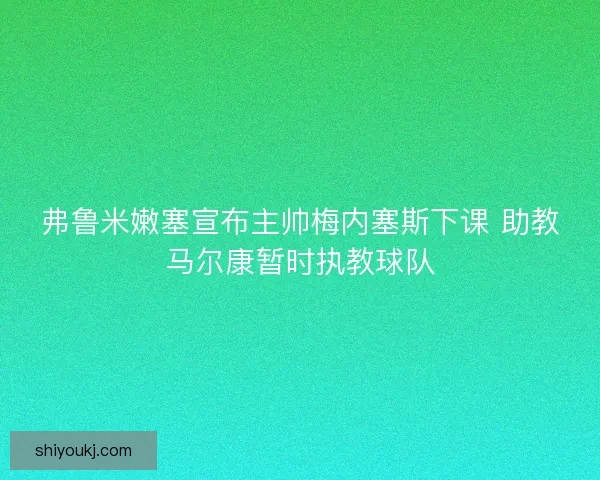 弗鲁米嫩塞宣布主帅梅内塞斯下课 助教马尔康暂时执教球队 弗鲁米嫩塞宣布主帅梅内塞斯下课 助教马尔康暂时执教球队