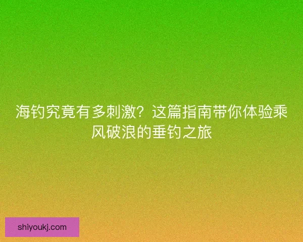 海钓究竟有多刺激？这篇指南带你体验乘风破浪的垂钓之旅