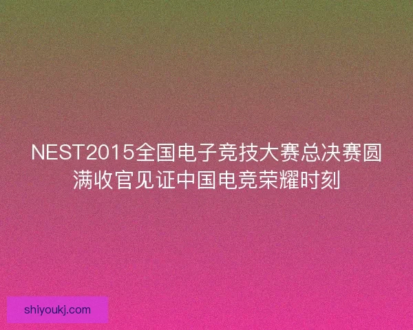 NEST2015全国电子竞技大赛总决赛圆满收官见证中国电竞荣耀时刻