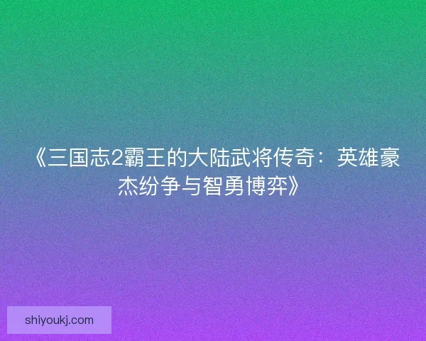 《三国志2霸王的大陆武将传奇：英雄豪杰纷争与智勇博弈》