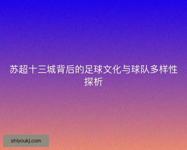 苏超十三城背后的足球文化与球队多样性探析 苏超十三城背后的足球文化与球队多样性探析