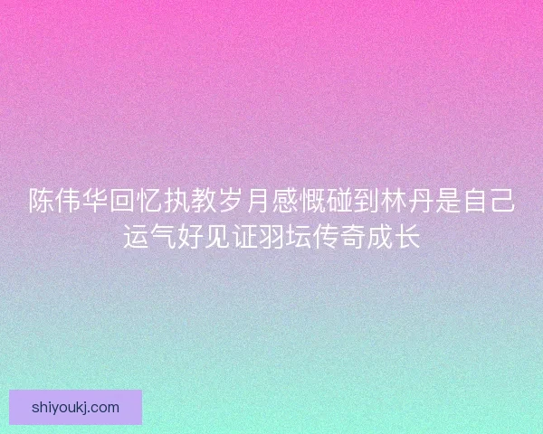 陈伟华回忆执教岁月感慨碰到林丹是自己运气好见证羽坛传奇成长
