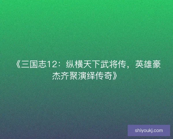 《三国志12:纵横天下武将传,英雄豪杰齐聚演绎传奇》 《三国志12:纵横天下武将传,英雄豪杰齐聚演绎传奇》